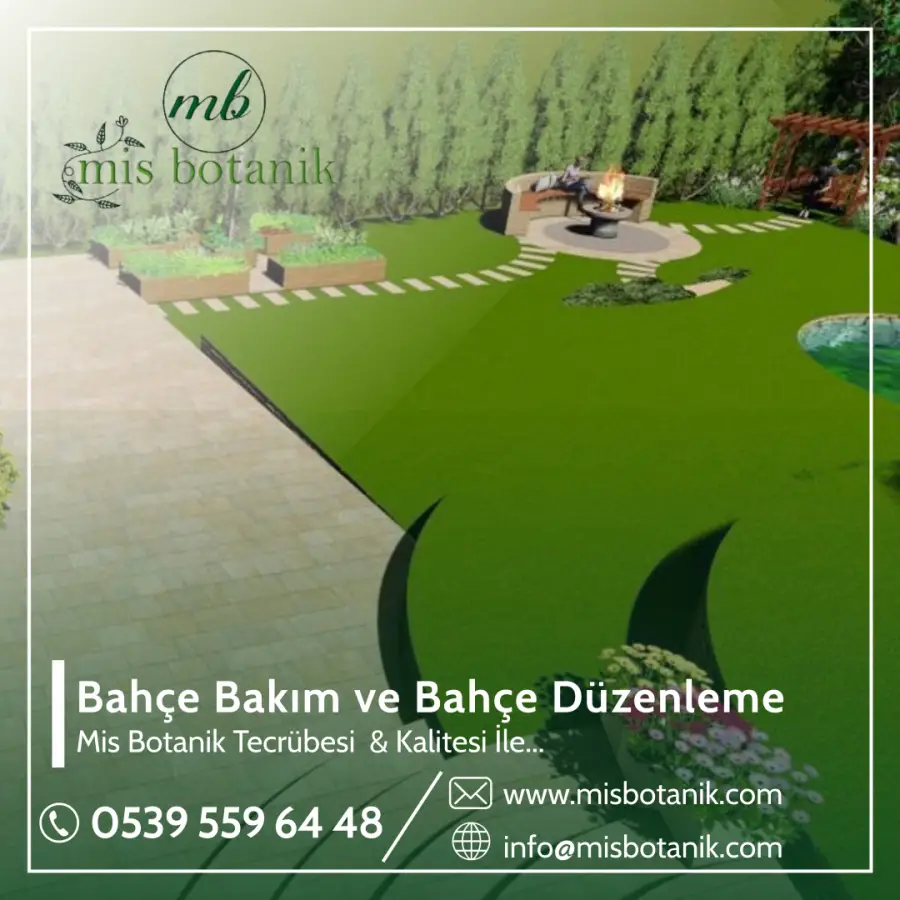 Bahçe Bakım ve Bahçe Düzenleme