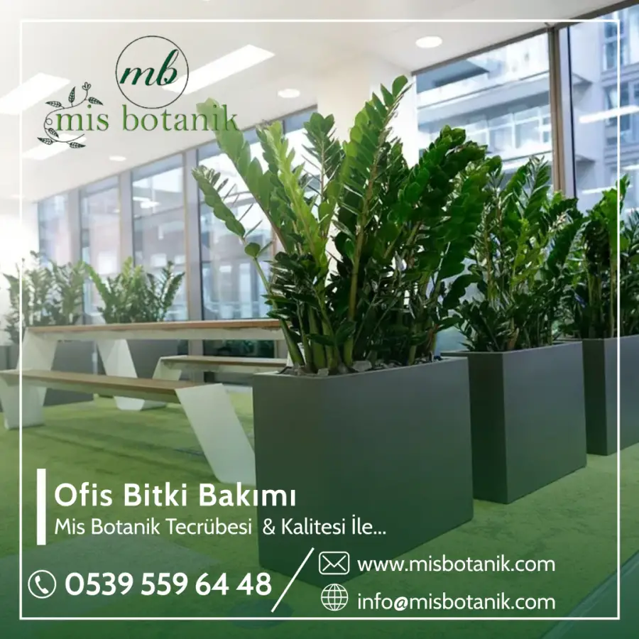 Ofis Bitki Bakımı