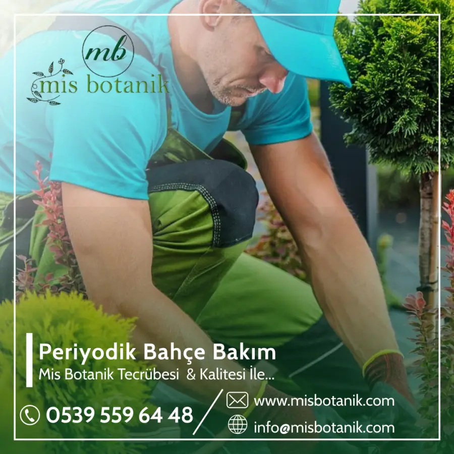 Periyodik Bahçe Bakım