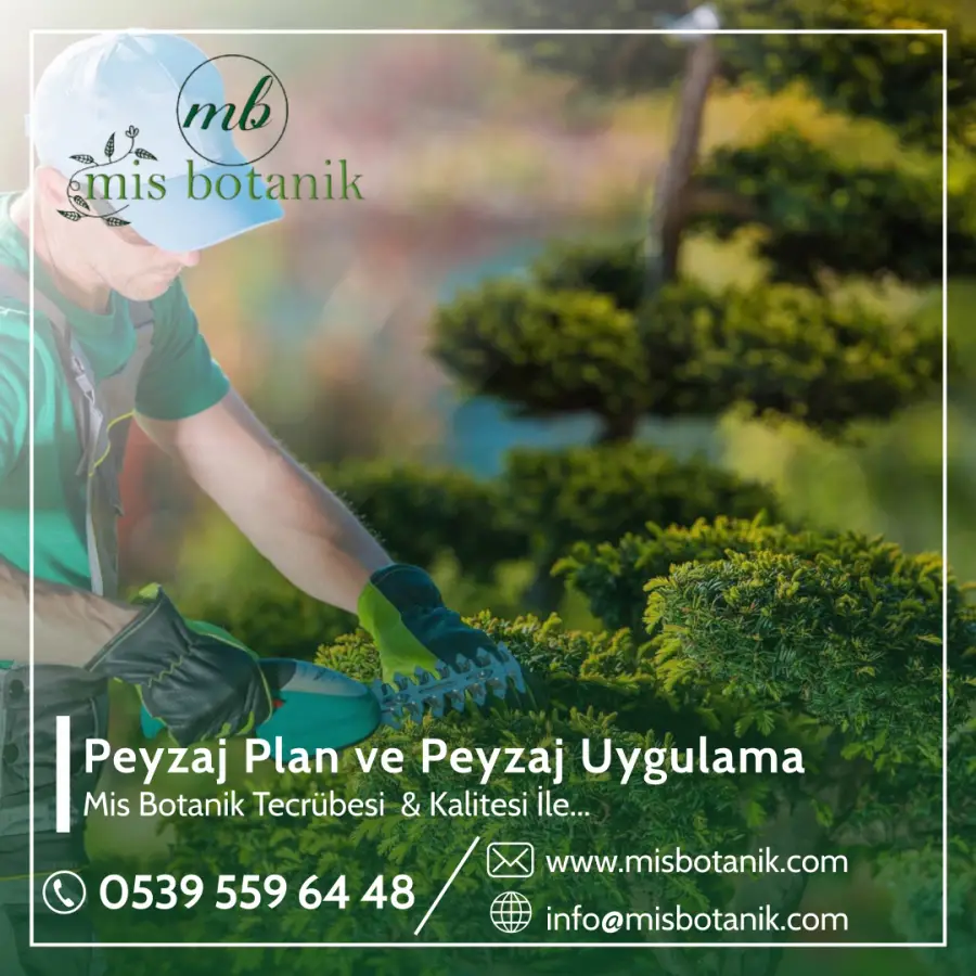 Peyzaj Plan ve Peyzaj Uygulama